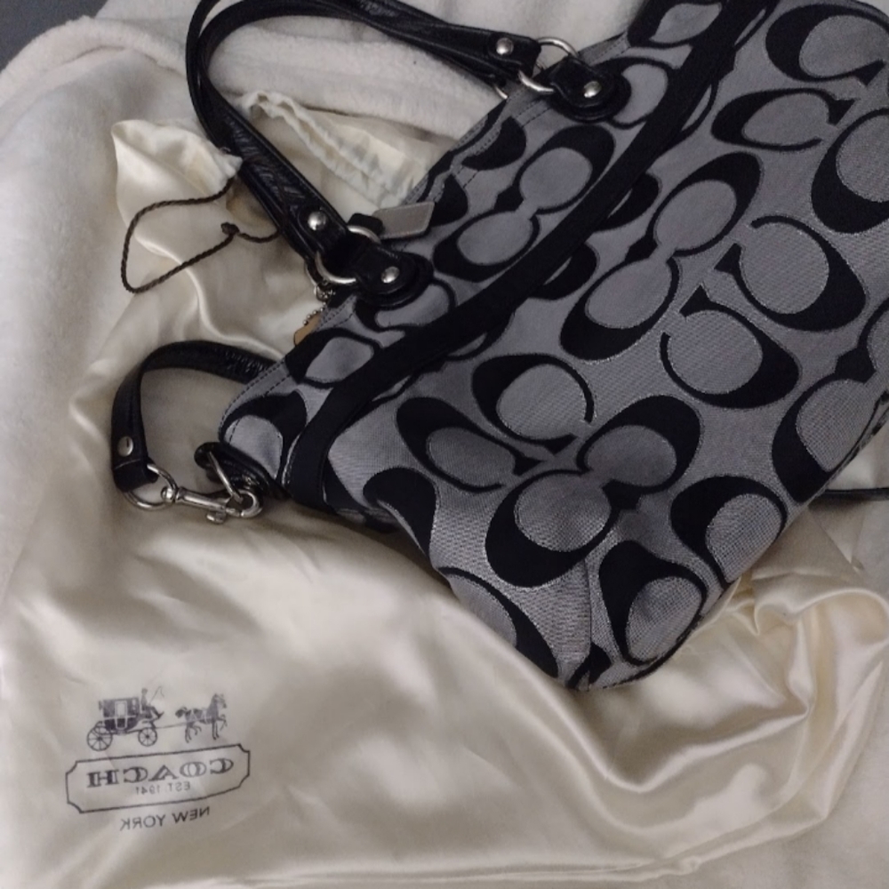I mint Coach purse
